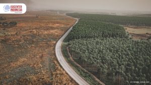 Siap Hadapi EUDR? Ini Peran ISO 14001 dalam Membangun Supply Chain Bebas Deforestasi